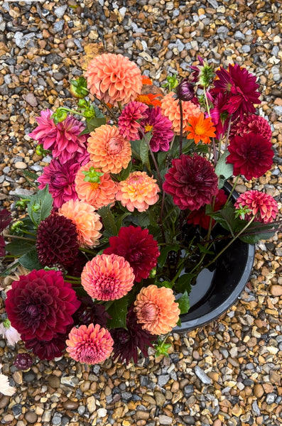 Large hand-tied bouquet.